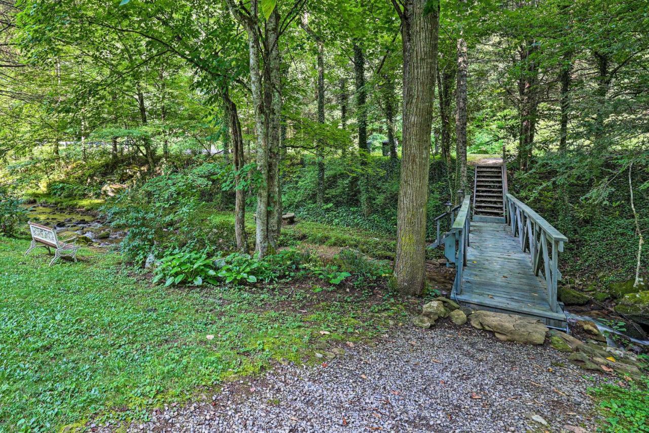 Creekside Roan Mountain Cabin Walk To Trails Buitenkant foto