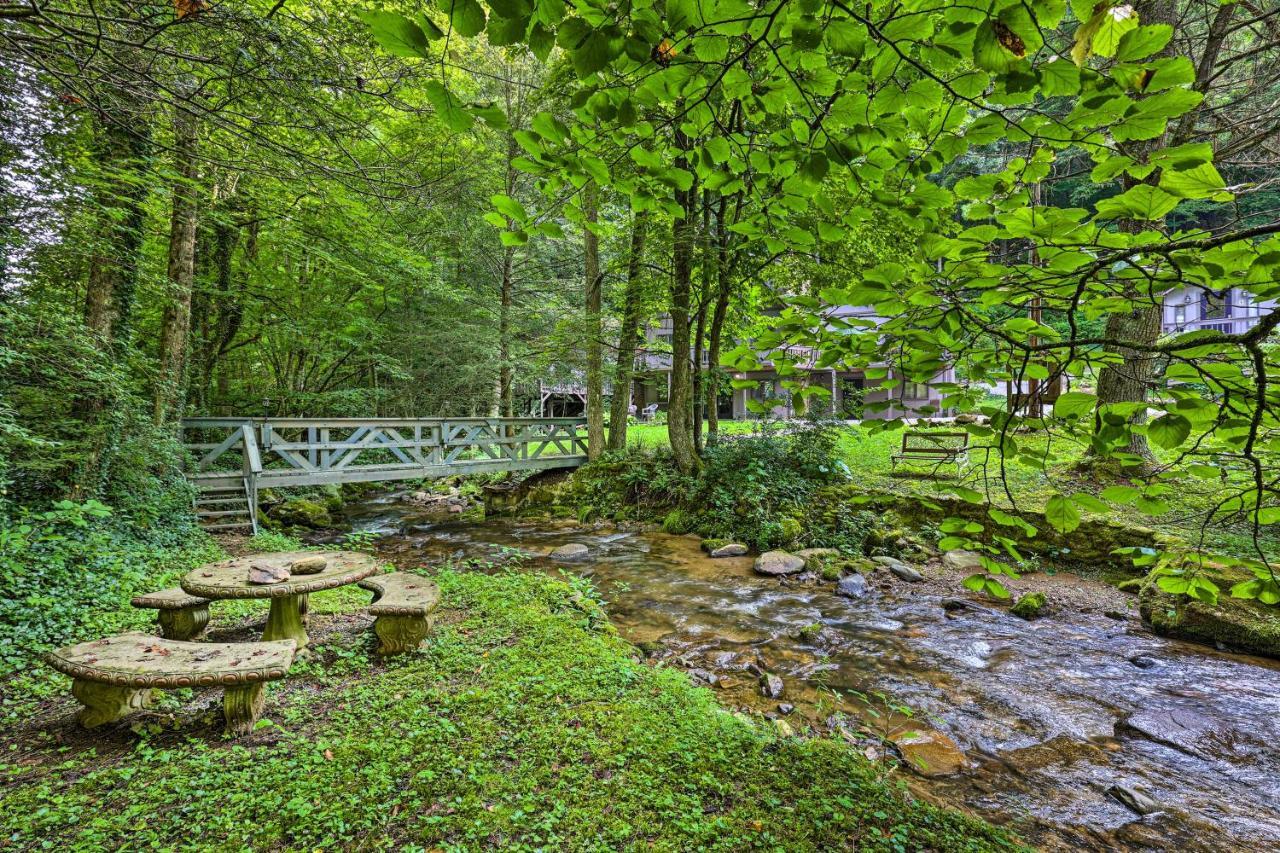 Creekside Roan Mountain Cabin Walk To Trails Buitenkant foto
