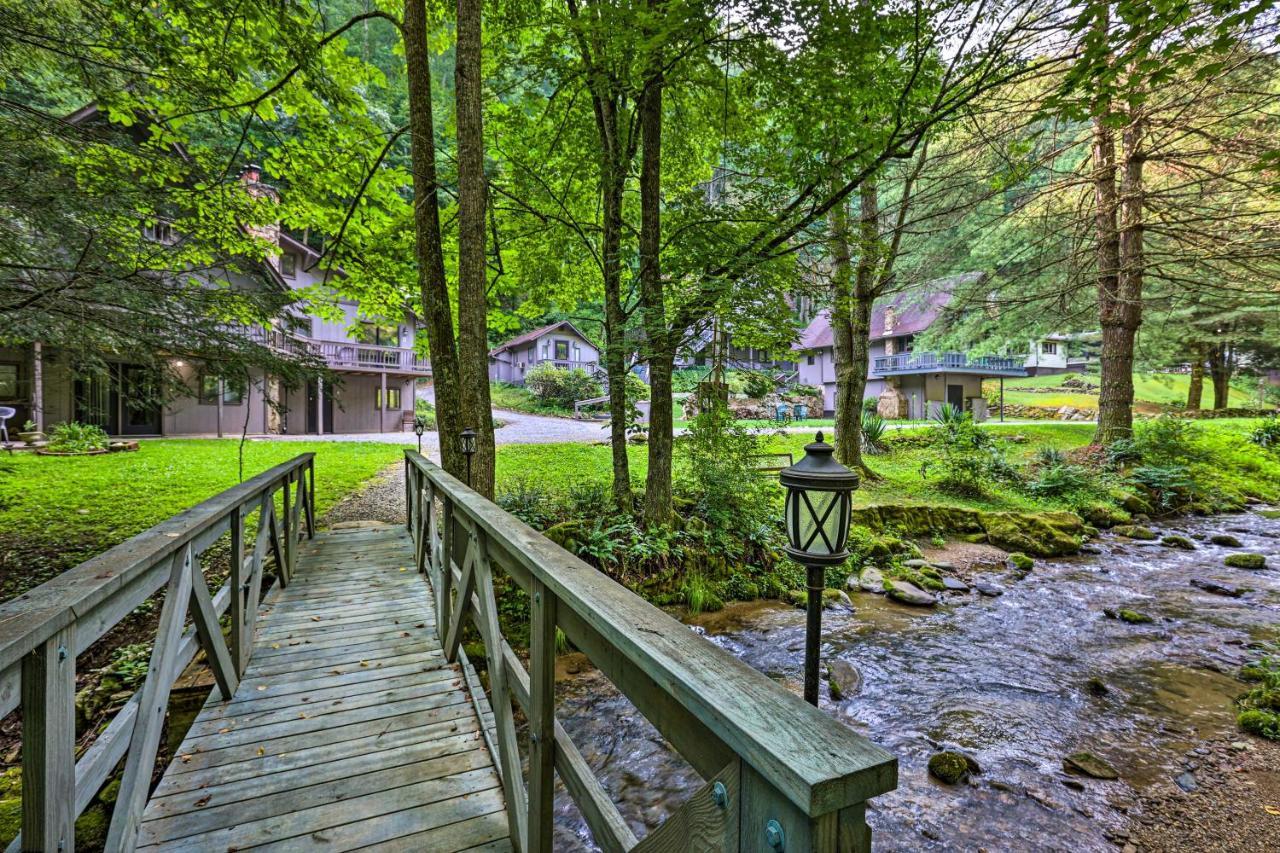 Creekside Roan Mountain Cabin Walk To Trails Buitenkant foto
